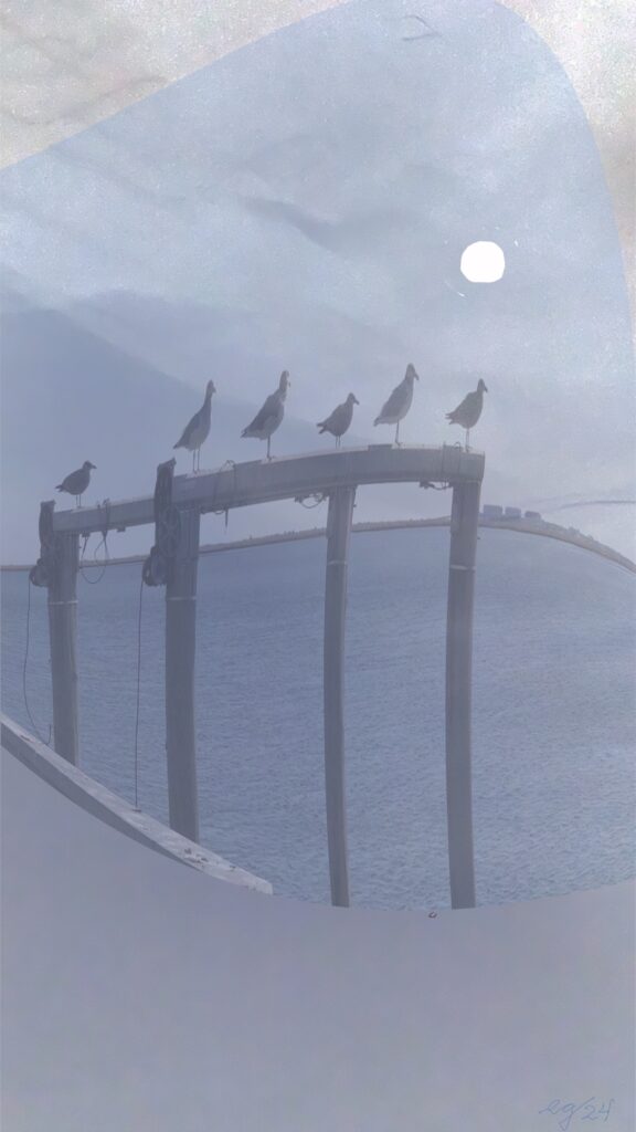 Shellbay Meets Never Moon November 2024, photo and digital paint