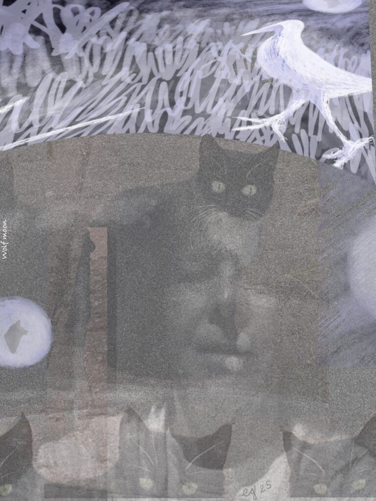 Wolf Moon January 13 photo collage by Grenell